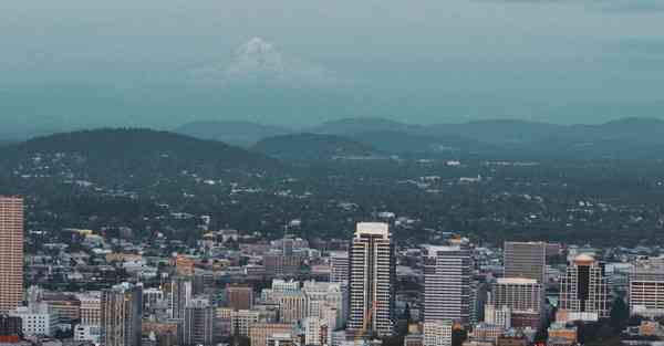 狸猫加速器安卓版